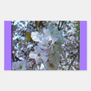 Spring Brooklyn Botanical Gardens Rectangular Sticker