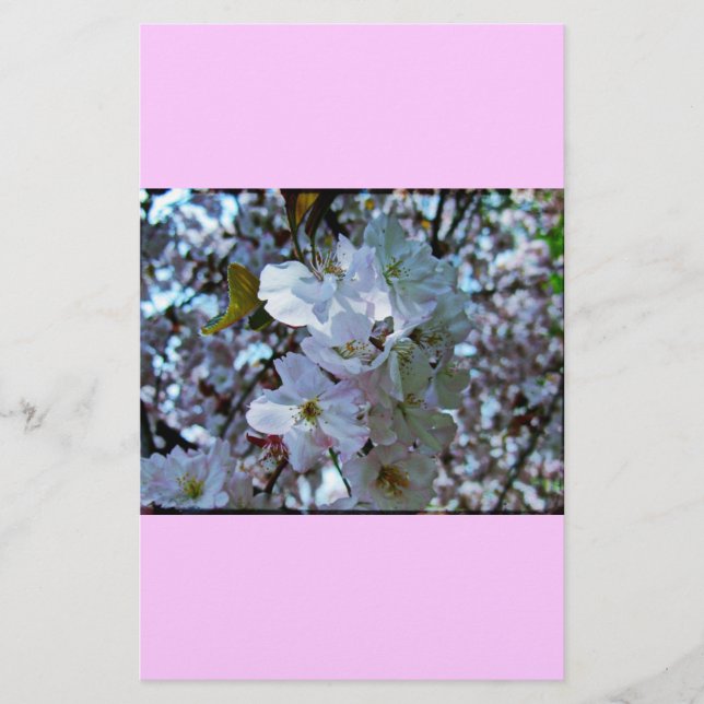 Spring Brooklyn Botanical Gardens Stationery (Front)