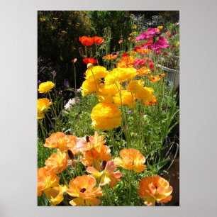 Spring Bulbs Cottage Garden Floral Flowers Poster