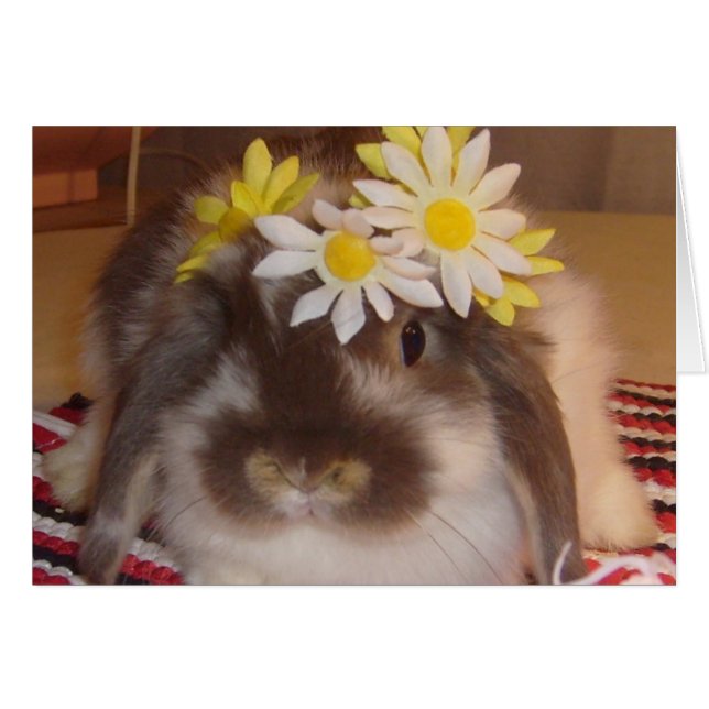 Spring bunnies (Front Horizontal)