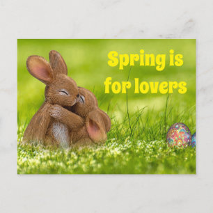 Spring Bunny Lovers Postcard