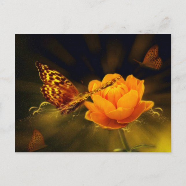 Spring Butterfly on Rose Postcard (Front)