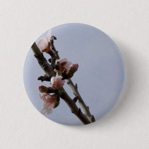 Spring Button