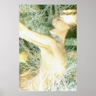 Spring by Gregory Gallo Poster