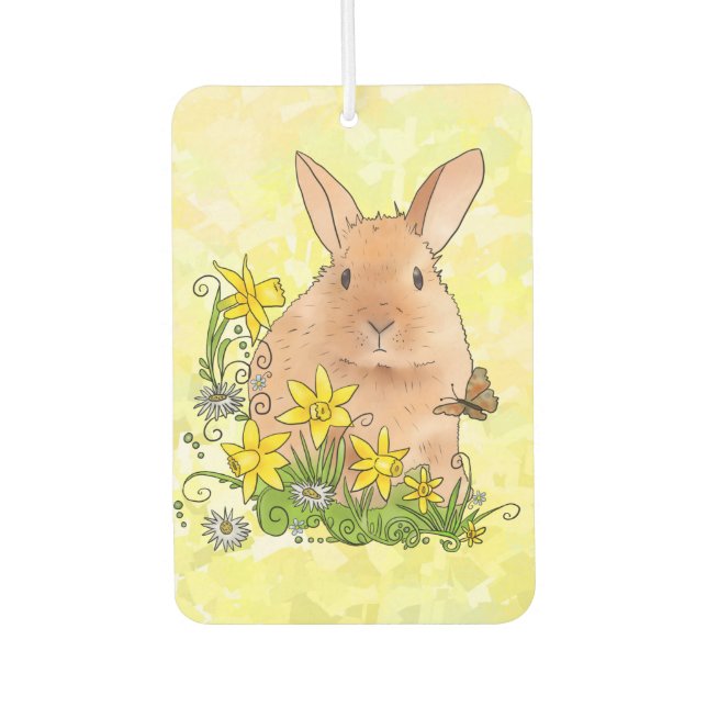 spring car air freshener (Front)