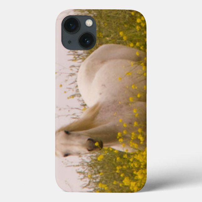 Spring Case-Mate iPhone Case (Back)