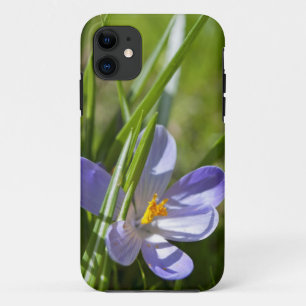 Spring Case-Mate iPhone Case