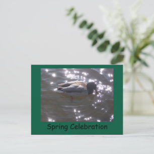 Spring Celebration Postcard