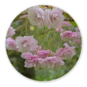 Spring Cherry Tree Blossom Drawer Knob