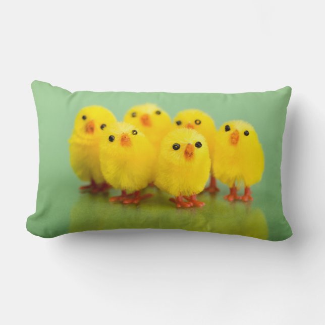 Spring chicken lumbar cushion (Front)