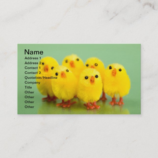 Spring chickens business card (Front)