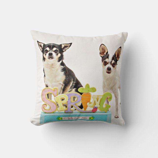 Spring Chihuahua's Cushion (Front)