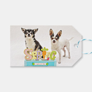 Spring Chihuahua's Gift Tags