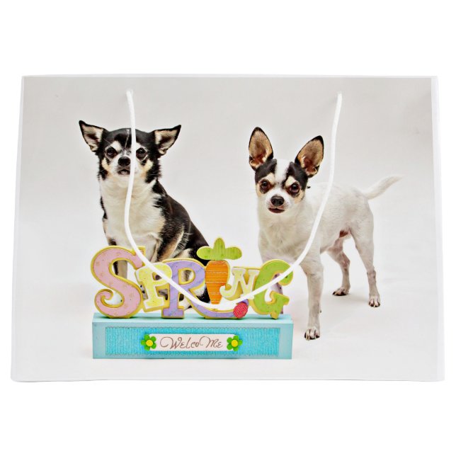 Spring Chihuahua's Large Gift Bag (Front)