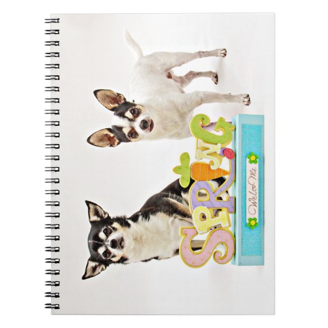 Spring Chihuahua's Notebook (Front)