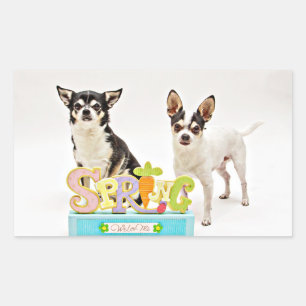 Spring Chihuahua's Rectangular Sticker