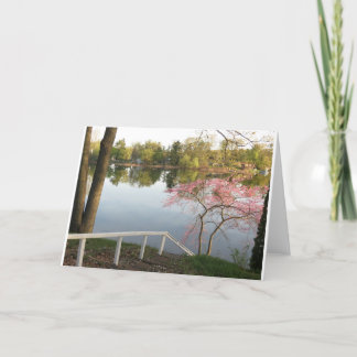 Spring colour on Pine Lake #2 Card