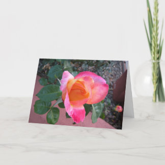 Spring Colours Thank You Card