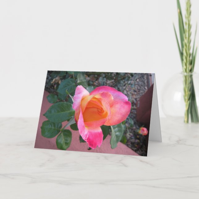 Spring Colours Thank You Card (Front)