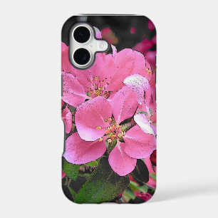 Spring Crab Apple Blossom Flower