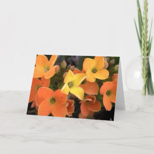 spring creations holiday card
