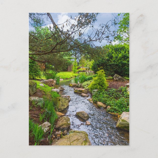 Spring Creek Painterly Postcard (Front)