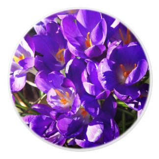 SPRING CROCUS CERAMIC KNOB