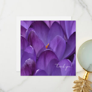 Spring Crocus Flower Photography Thank You Card