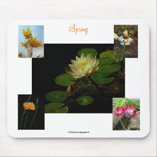 Spring Crocus Flowers Mousepad