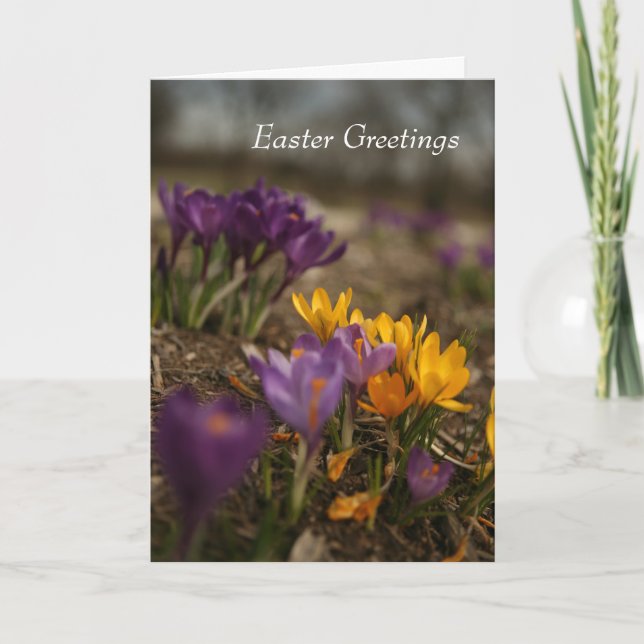 Spring Crocus Folded Easter Greeting Card (Front)