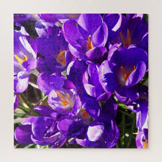 SPRING CROCUS JIGSAW PUZZLE (Vertical)