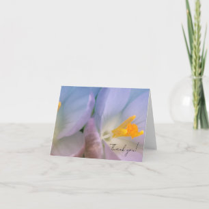 Spring Crocus Photography Thank You Card