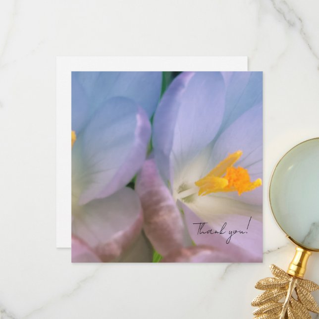 Spring Crocus Photography Thank You Card (Front/Back In Situ)