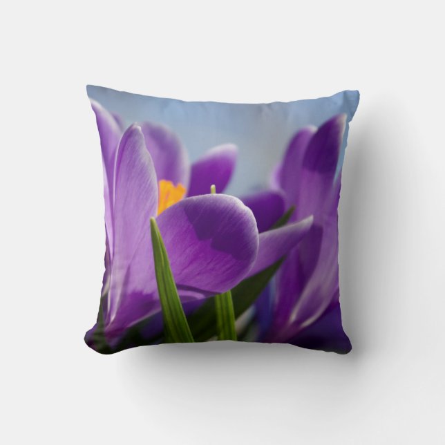 Spring Crocus Pillow and Case (Front)