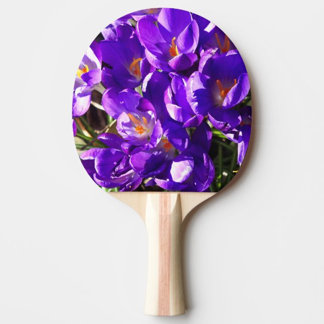 SPRING CROCUS PING PONG PADDLE (Front)