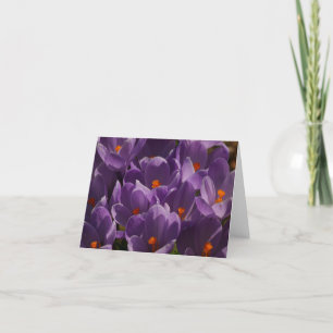 Spring Crocus  Thank You Card