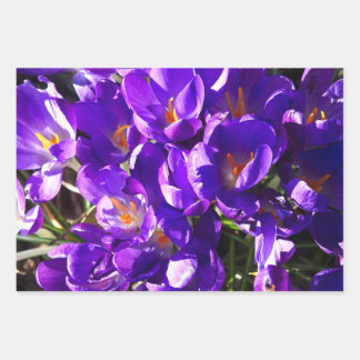 SPRING CROCUS WRAPPING PAPER SHEET