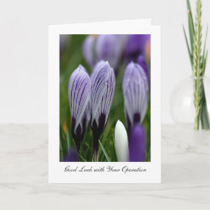 Spring Crocuses - Good Luck with Your Operations Card