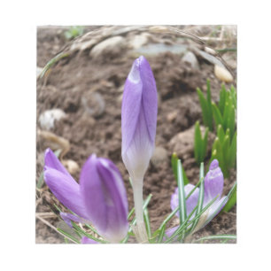 Spring crocuses notepad