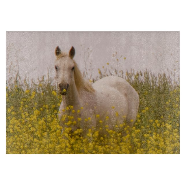 Spring Cutting Board (Front)
