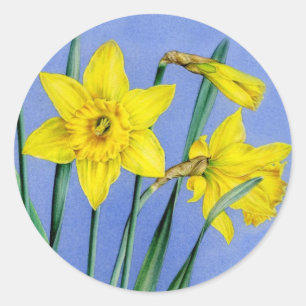 Spring daffodil yellow art painted flower sticker
