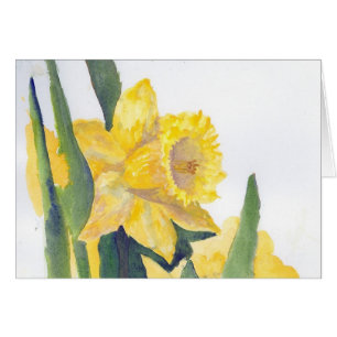 Spring Daffodils