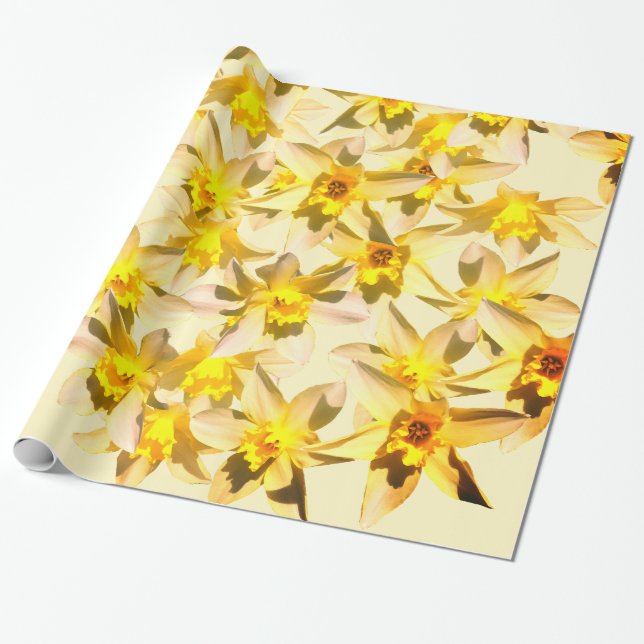 Spring Daffodils Blossoms Photo Gift  Paper (Unrolled)