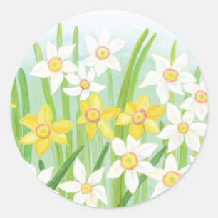 Spring Daffodils   Classic Round Sticker
