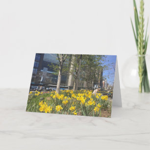 Spring Daffodils Columbus Circle New York City NYC Card
