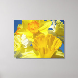 Spring Daffodils Flowers Canvas prints Nature