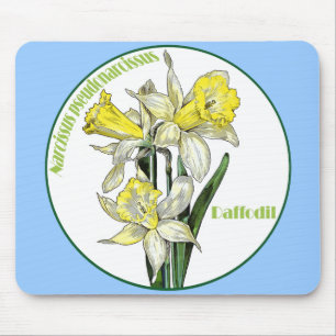 Spring Daffodils Mouse Pad