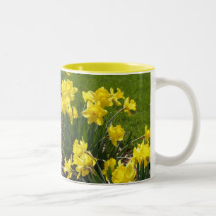 Spring Daffodils Mug