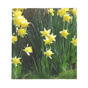 Spring Daffodils Notepad