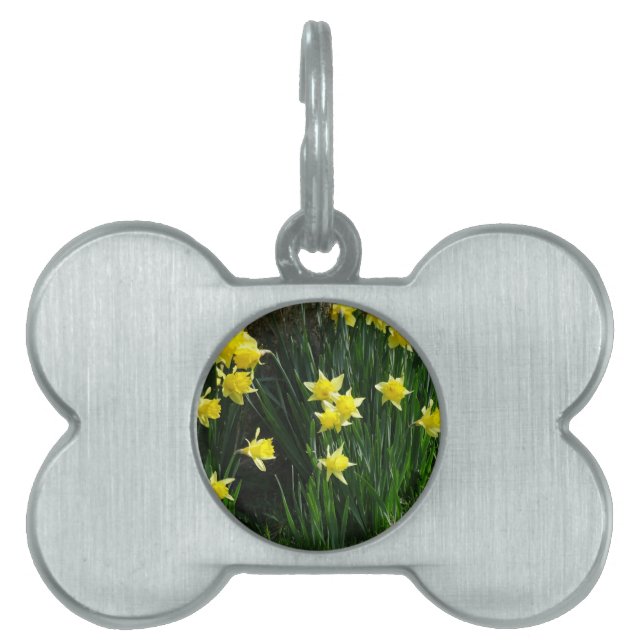 Spring Daffodils Pet Name Tag (Front)